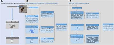 Prospective Use of Brown Spider Venom Toxins as Therapeutic and Biotechnological Inputs